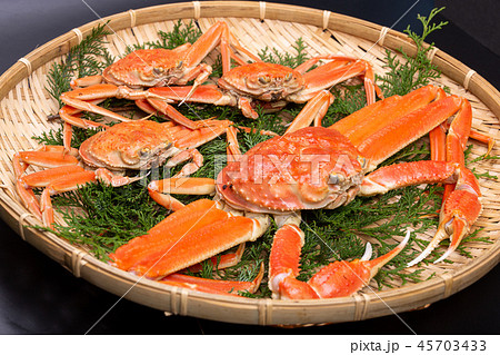 松葉ガニ 食材 松葉ガニ 食材 45703433