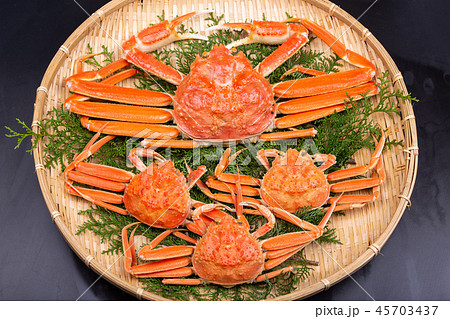 松葉ガニ　食材 45703437