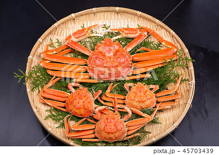 松葉ガニ　食材 45703439