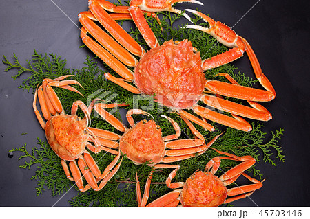松葉ガニ　食材 45703446