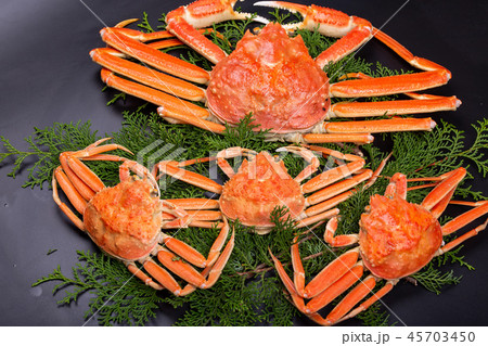 松葉ガニ　食材 45703450