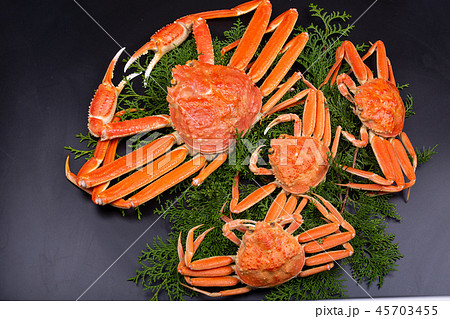 松葉ガニ 食材 松葉ガニ 食材 45703455