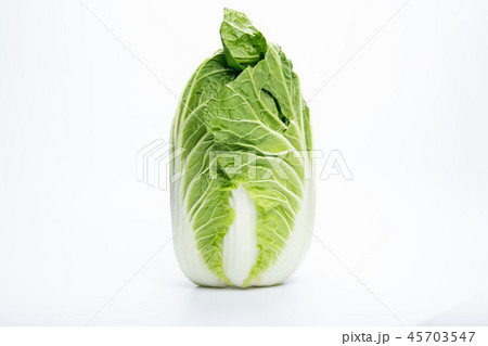 白菜 45703547