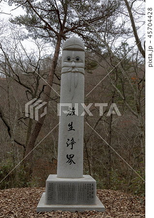 木 順天市 植物 45704428