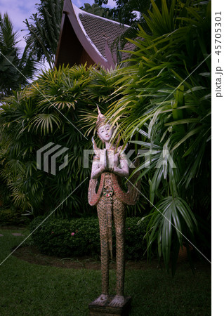 thai thai 45705301