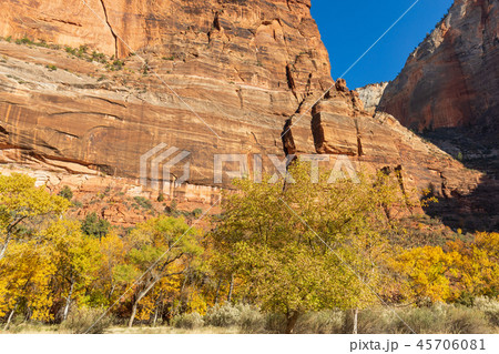 Zion National Park Fall Landscape 45706081