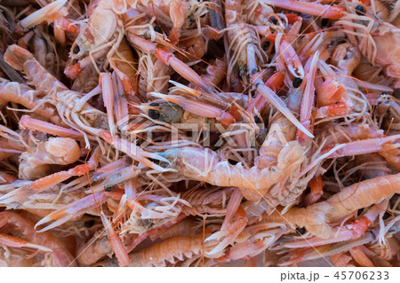Fresh red shrimp at a street organic market. 45706233