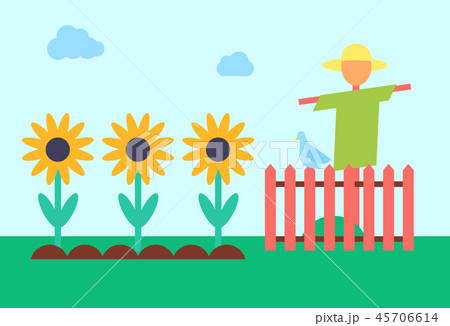 Scarecrow and Sunflower Field Vector Illustration 45706614