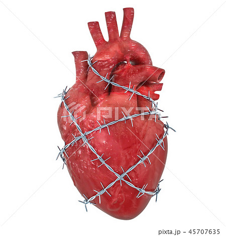 Heart Pain concept. Human heart with barbed wireのイラスト素材