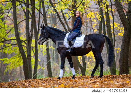 Teenage girl riding horse in autumn park 45708193