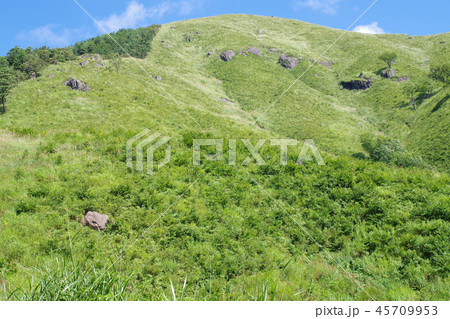 深入山の稜線 45709953