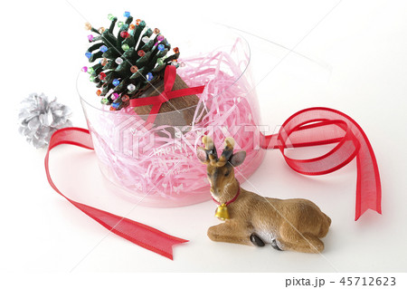 箱の中のクリスマス 箱の中のクリスマス 45712623
