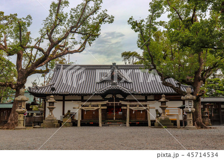 泉穴師神社 泉穴師神社 45714534