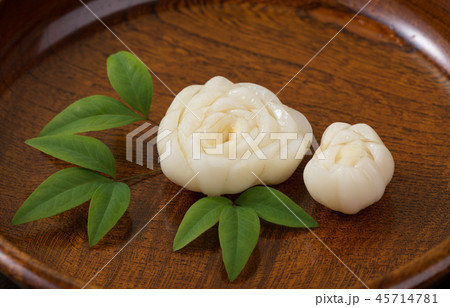 花百合根 45714781