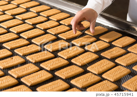 cookie factory making cookie factory making 45715941