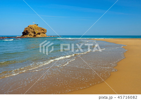 白兎海岸 白兎海岸 45716082