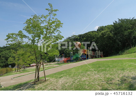 永楽ゆめの森公園 45716132