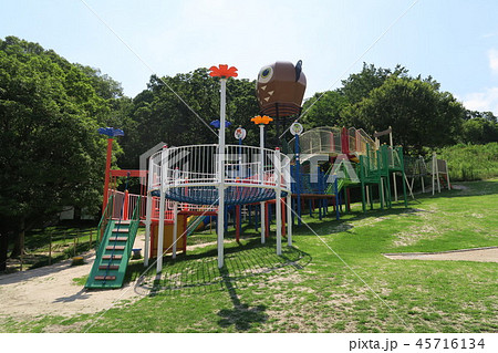 永楽ゆめの森公園 45716134