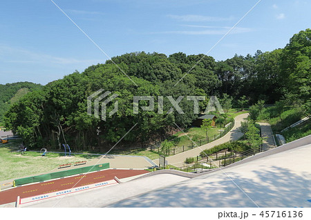 永楽ゆめの森公園 永楽ゆめの森公園 45716136