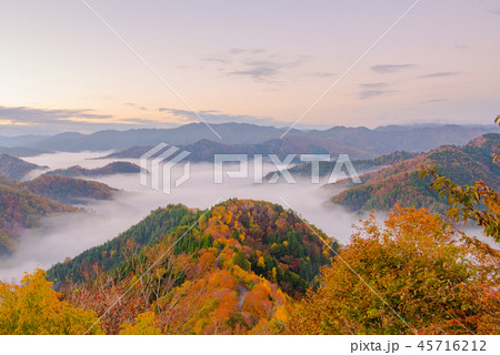 おにゅう峠 紅葉 早朝 大雲海 おにゅう峠 紅葉 早朝 大雲海 45716212