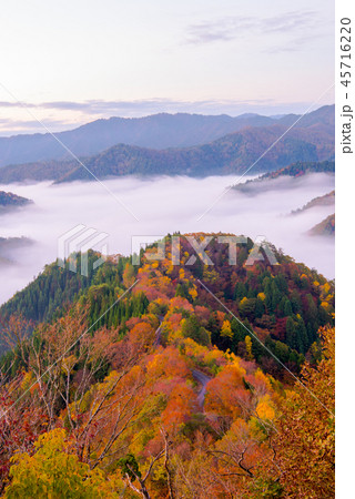 おにゅう峠 紅葉 早朝 大雲海 おにゅう峠 紅葉 早朝 大雲海 45716220