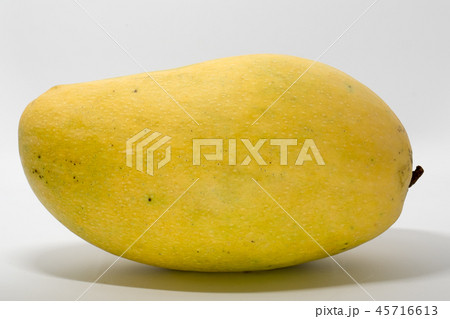 Fresh, bright yellow, sweet mango, non-toxic. 45716613