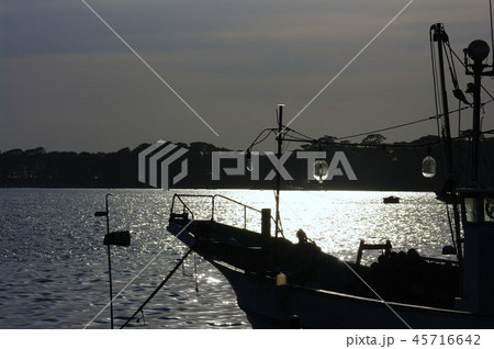イカ釣漁船 45716642