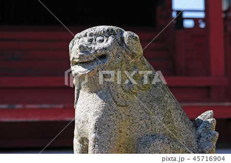 多田神社六所宮の狛犬-3 45716904