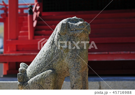 多田神社六所宮の狛犬-4 45716988