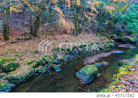 岳切渓谷の紅葉　【大分県宇佐市】 45717282