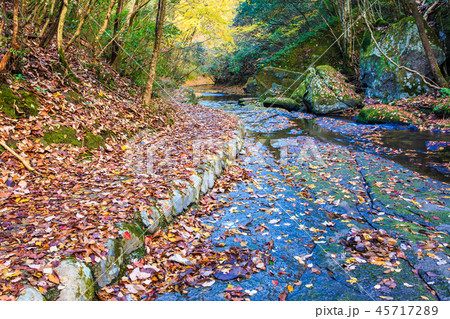 岳切渓谷の紅葉　【大分県宇佐市】 45717289