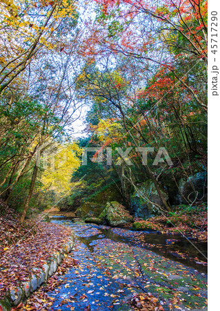 岳切渓谷の紅葉 【大分県宇佐市】 岳切渓谷の紅葉 【大分県宇佐市】 45717290