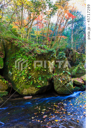 岳切渓谷の紅葉 【大分県宇佐市】 岳切渓谷の紅葉 【大分県宇佐市】 45717299