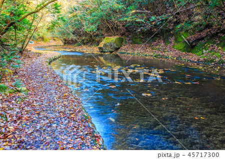 岳切渓谷の紅葉 【大分県宇佐市】 岳切渓谷の紅葉 【大分県宇佐市】 45717300