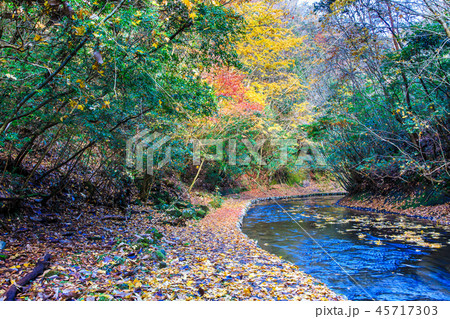 岳切渓谷の紅葉 【大分県宇佐市】 岳切渓谷の紅葉 【大分県宇佐市】 45717303