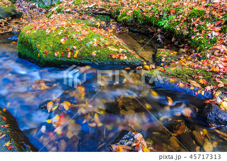 岳切渓谷の紅葉　【大分県宇佐市】 45717313