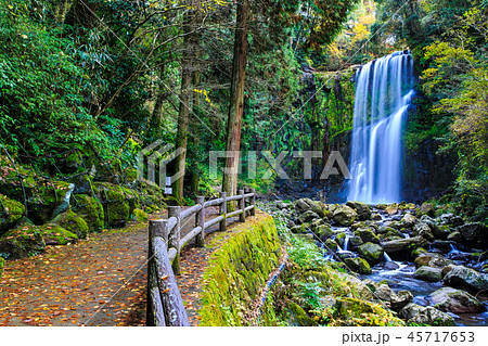 桜滝の秋景色 水のカーテン 【大分県日田市】 桜滝の秋景色 水のカーテン 【大分県日田市】 45717653