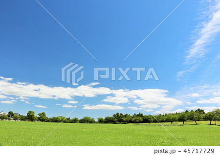 爽やかな青空と公園の風景 45717729