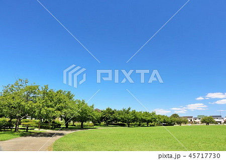 爽やかな青空と公園の風景 45717730