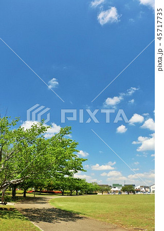 爽やかな青空と街の公園 45717735