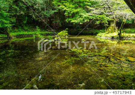 山吹水源 山吹水源 45717943