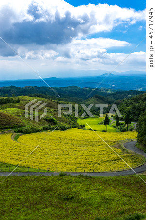 扇田 扇田 45717945