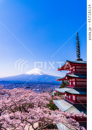 （山梨県）桜咲く新倉山浅間公園、忠霊塔と富士山 45718114