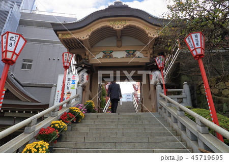 学問の神様 湯島天神の夫婦坂 学問の神様 湯島天神の夫婦坂 45719695