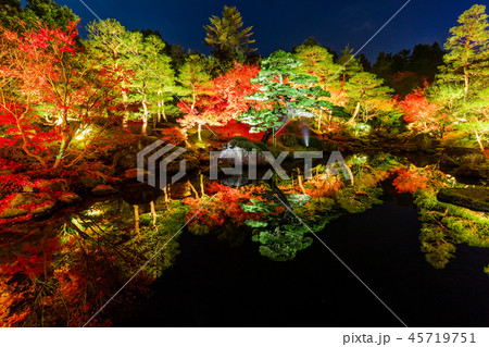 由志園ライトアップ 由志園ライトアップ 45719751