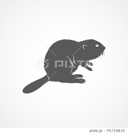 Beaver flat icon 45719810