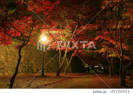 紅葉の岩手公園 45720551