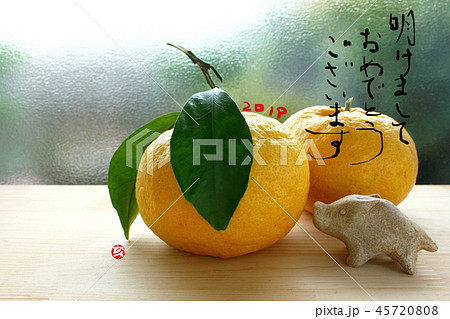 いのしし 45720808