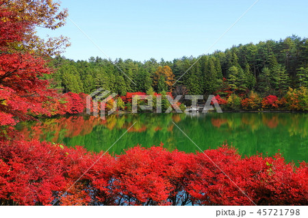 11月 南ｱﾙﾌﾟｽ市南伊奈ヶ湖の紅葉の写真素材