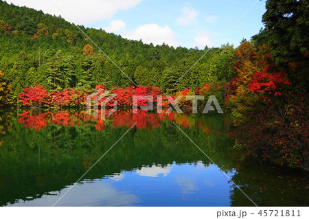 11月 南アルプス市08南伊奈ヶ湖の紅葉 11月 南アルプス市08南伊奈ヶ湖の紅葉 45721811